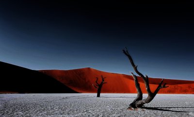 A desert landscape including trees without leaves, grey sand, and red mountains in the distance.